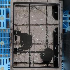 メダカ　めだか　幹之　画像すべて