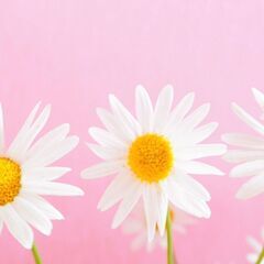【おんかる】オンラインでダイエットの指導を受けてみませんか？