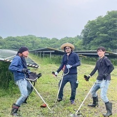 〈宮城〉人気仕事！急募！草刈り　　　どなたでもＯＫ!