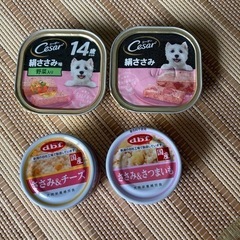 犬、猫用ペットフードの画像