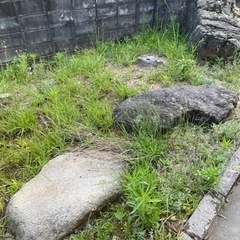 立派な石②