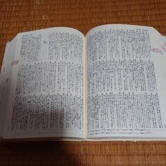 現代国語例解辞典 二色刷 第３版の画像