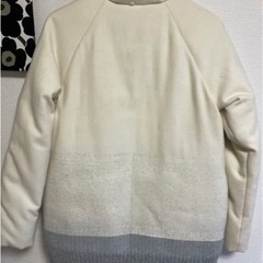 グラデーション　ダウンコートの画像