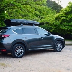 Thule スーリー ルーフボックス Thule Motion ...