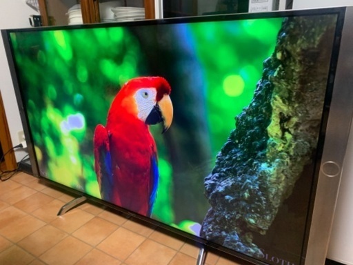 パナソニック Panasonic ビエラ 4K 60インチ 60型 TH-60DX850 2017年製 検索 65インチ 65型 55インチ 55型