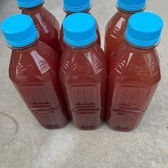 PSB光合成細菌500ml