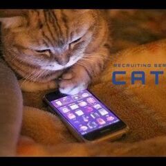 ★全国の求職難で手持ちのお金が少ない方のみ御覧下さい★ 【CATSは今からでも対応致します】神奈川の画像