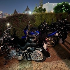 【今日6/18.Sun 21時頃】豊洲ぐるり公園
