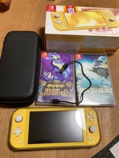 Switchライト　ソフト2本付き