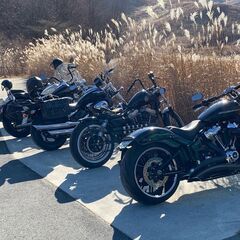【受付終了】アメリカンツーリングチーム「Ride On Flat」メンバー募集！ - 友達