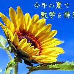 【数学塾】夏期講習のお知らせ！【寝屋川市・香里園】の画像