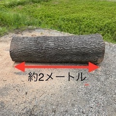 薪ストーブにいかがですか？無料です。
