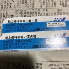 ANA、株主優待券‼️なが〜い24年5月末まで、2枚‼️