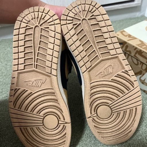 エアジョーダン1 バケッタタン