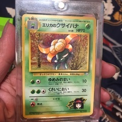 旧裏　エリカのクサイハナ
