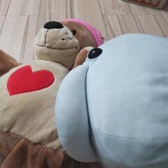 くま いるか等 ぬいぐるみの画像