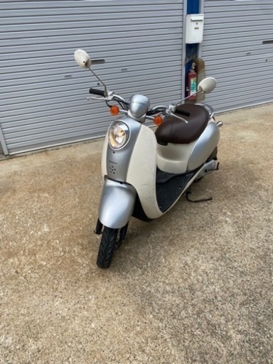 整備済み　人気のスクーピー