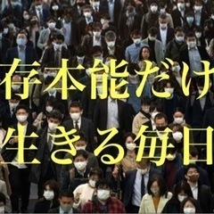 湘南7/1(土)ストレスマネジメント【魔法学入門2023】の画像