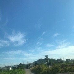 お友達が欲しいなぁ