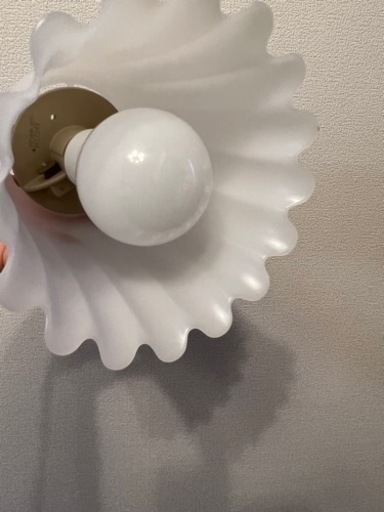 電気　トイレ電球　ライト