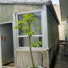 宜野湾市嘉数外人住宅！価格2,580万円 − 沖縄県