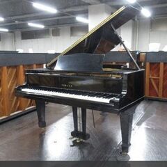 YAMAHA  G2 製造番号 710398 アウトレット品　グ...