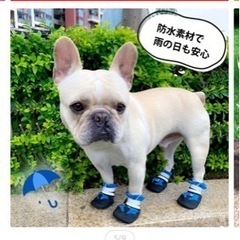 犬用シューズの画像