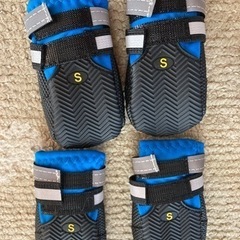 犬用シューズの画像