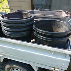 大きい　プラスチックの植木鉢