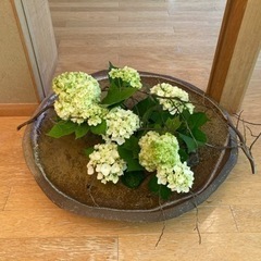 女の子のお茶やランチ友だち🍵募集します🍽(*^^*)