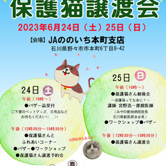 6/24（土）25（日）保護猫の譲渡会を開催します！