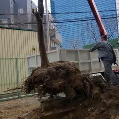 庭土あげます