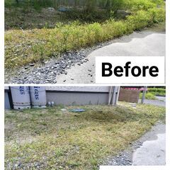その草刈り、おまかせください！害虫・暑さ対策にも◎の画像