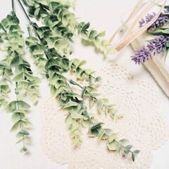 ＜柏＞未経験OK♪＼南フランス発／化粧品メーカーでの販売＠145...