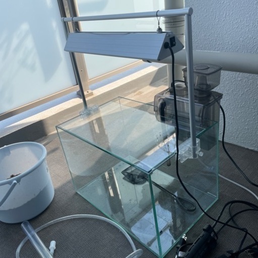 熱帯魚(海水魚)飼育セット