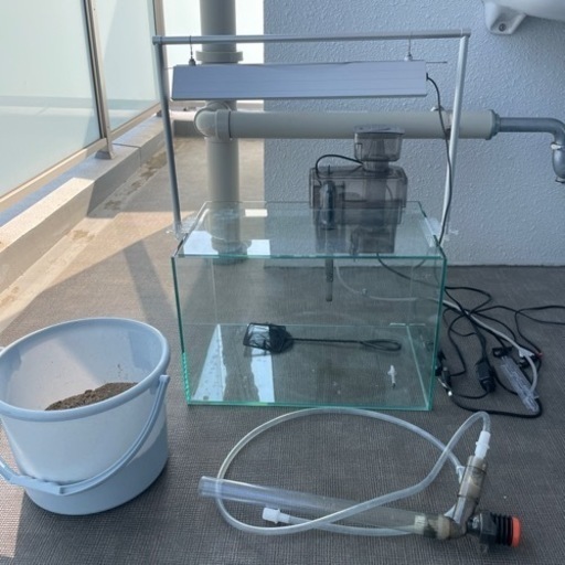 熱帯魚(海水魚)飼育セット