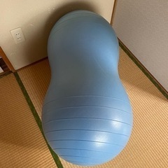 ピーナッツ型ジムボール交渉中の画像