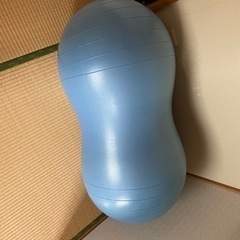 ピーナッツ型ジムボール交渉中