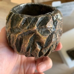 植物　鉢植えの画像