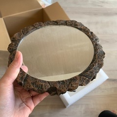 植物　鉢植えの画像