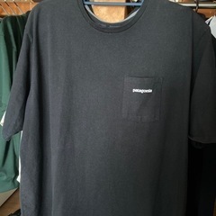 Patagoniaの半袖Tシャツ、ユニクロのパンツ