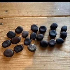 藻玉　値下げ😊