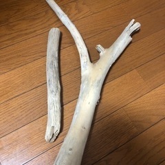 流木　インテリア　オブジェ