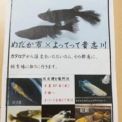 和歌山よってって貴志川店　注文即売会