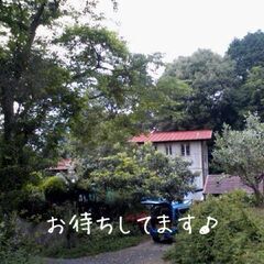 【オラクルカード教室】初心者さん向け♪リーディングの基本のキが学べますの画像