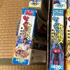 からくりサーカス　全巻　の画像