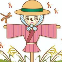 農業始めました(友達募集)