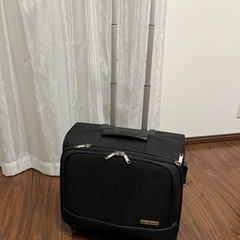【無料でお譲り】キャリーバッグの画像