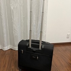 【無料でお譲り】キャリーバッグの画像
