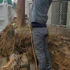 無料配達します、庭石、庭土の画像